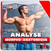 Analyse morpho-anatomique