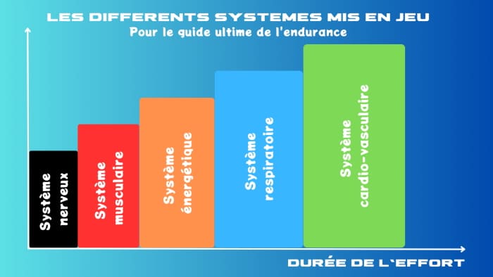 Les principaux systèmes 