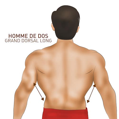 Avoir le dos en V en musculation